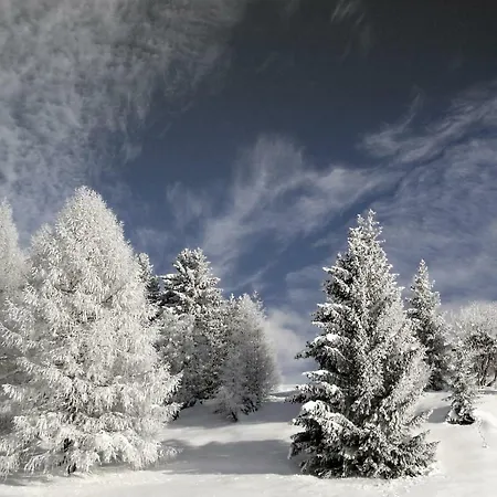 Mountain Appartement
